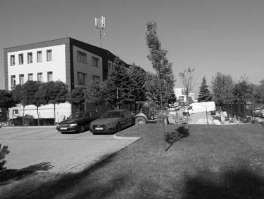 Zdjęcie 15023059