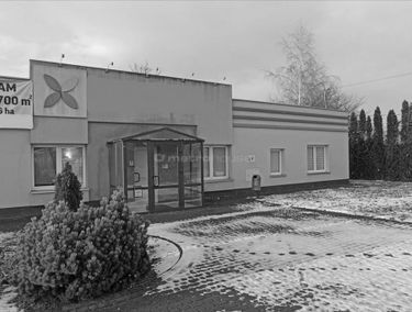 Zdjęcie 15023894