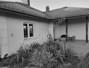 Zdjęcie 15023981