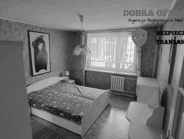 Zdjęcie 15024136