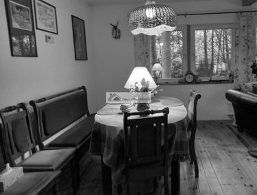 Zdjęcie 15024196