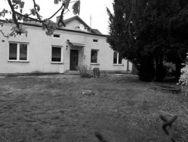 Zdjęcie 15024211