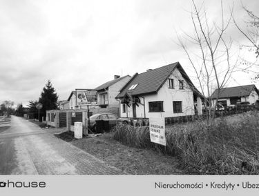 Zdjęcie 15026838
