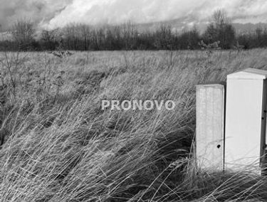 Zdjęcie 15027378