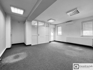 Zdjęcie 15028473