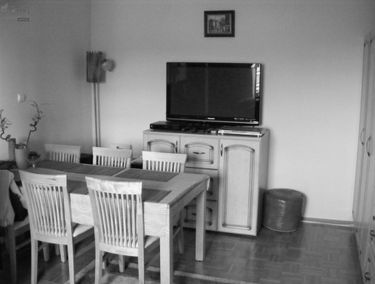 Zdjęcie 15029029