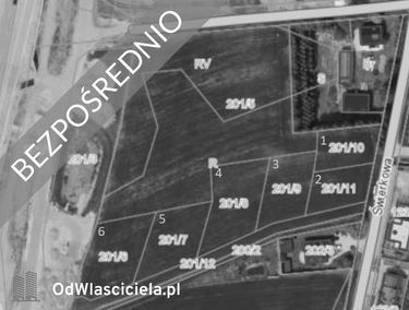 Zdjęcie 15029274