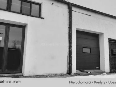 Zdjęcie 15029825