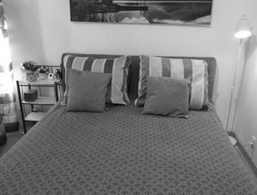 Zdjęcie 15030706