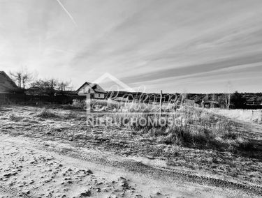 Zdjęcie 15030715