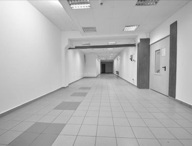 Zdjęcie 15031289
