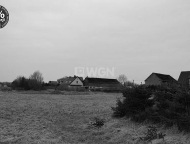 Zdjęcie 15031722