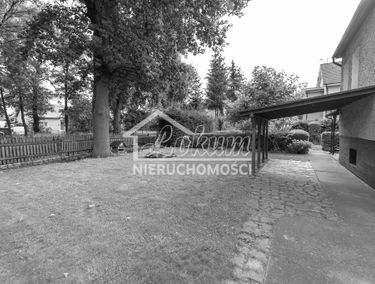 Zdjęcie 15031734