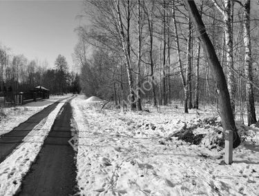 Zdjęcie 15032037
