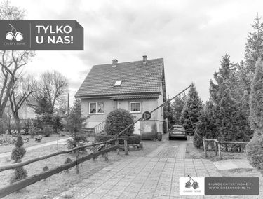 Zdjęcie 15032183