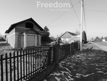 Zdjęcie 15034904