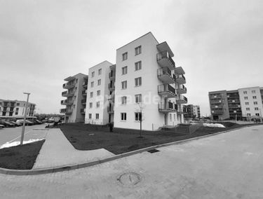 Zdjęcie 15034928