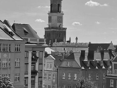 Zdjęcie 15035697