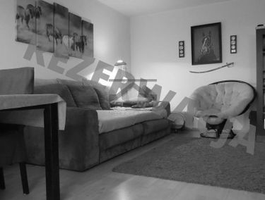 Zdjęcie 15036164