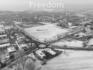 Zdjęcie 15036187
