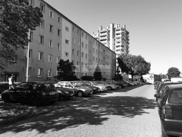 Zdjęcie 15036858
