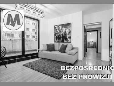 Zdjęcie 15036937