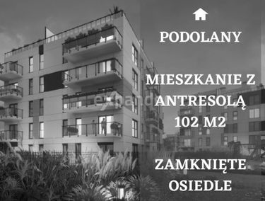 Zdjęcie 15037146