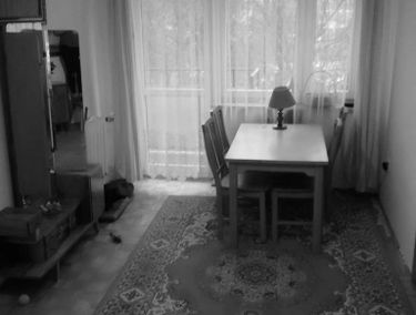 Zdjęcie 15037257