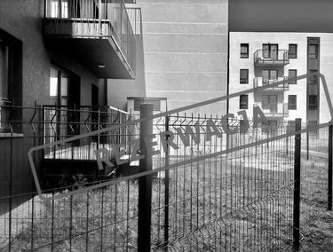 Zdjęcie 15037306