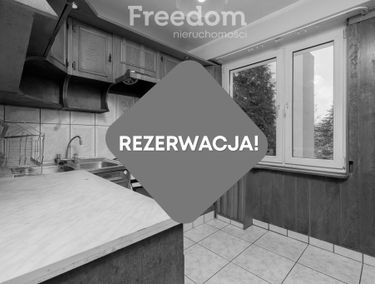 Zdjęcie 15037323