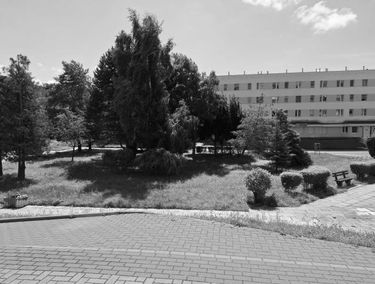 Zdjęcie 15037468