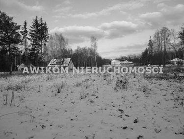 Zdjęcie 15037974