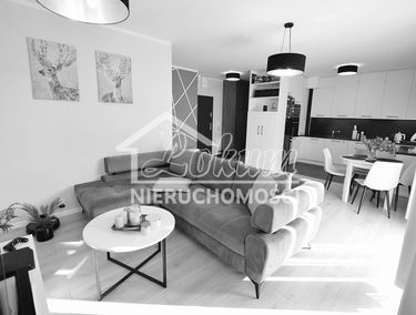 Zdjęcie 15038221