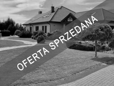 Zdjęcie 15038805