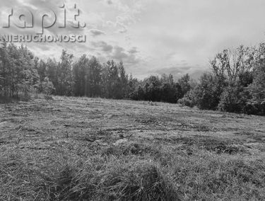 Zdjęcie 15039050