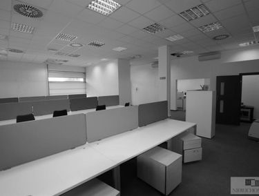 Zdjęcie 15039141