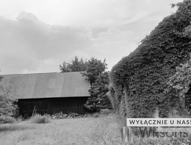 Zdjęcie 15039173