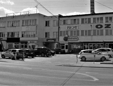 Zdjęcie 15039646