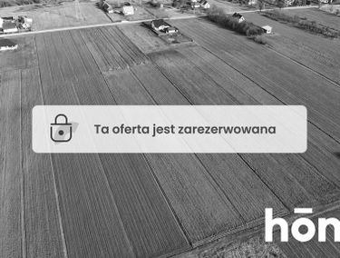 Zdjęcie 15041572