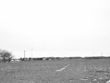 Zdjęcie 15041912