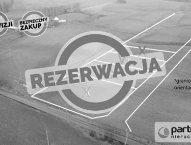 Zdjęcie 15041944
