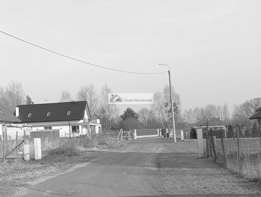 Zdjęcie 15041962