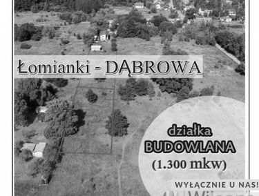 Zdjęcie 15042047
