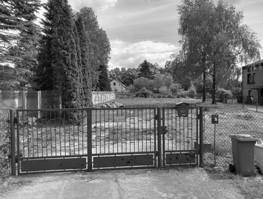 Zdjęcie 15042056