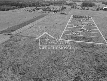 Zdjęcie 15043150