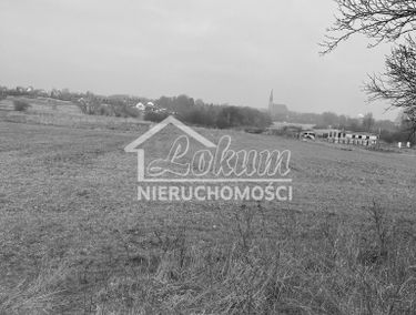Zdjęcie 15043438