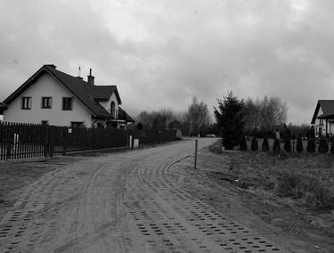 Zdjęcie 15043738