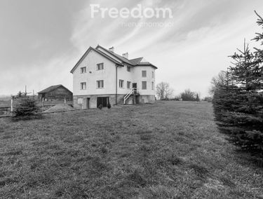 Zdjęcie 15044119