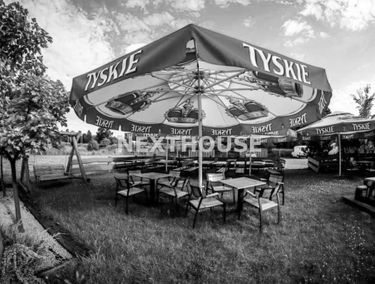 Zdjęcie 15044252