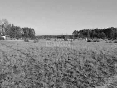 Zdjęcie 15044291